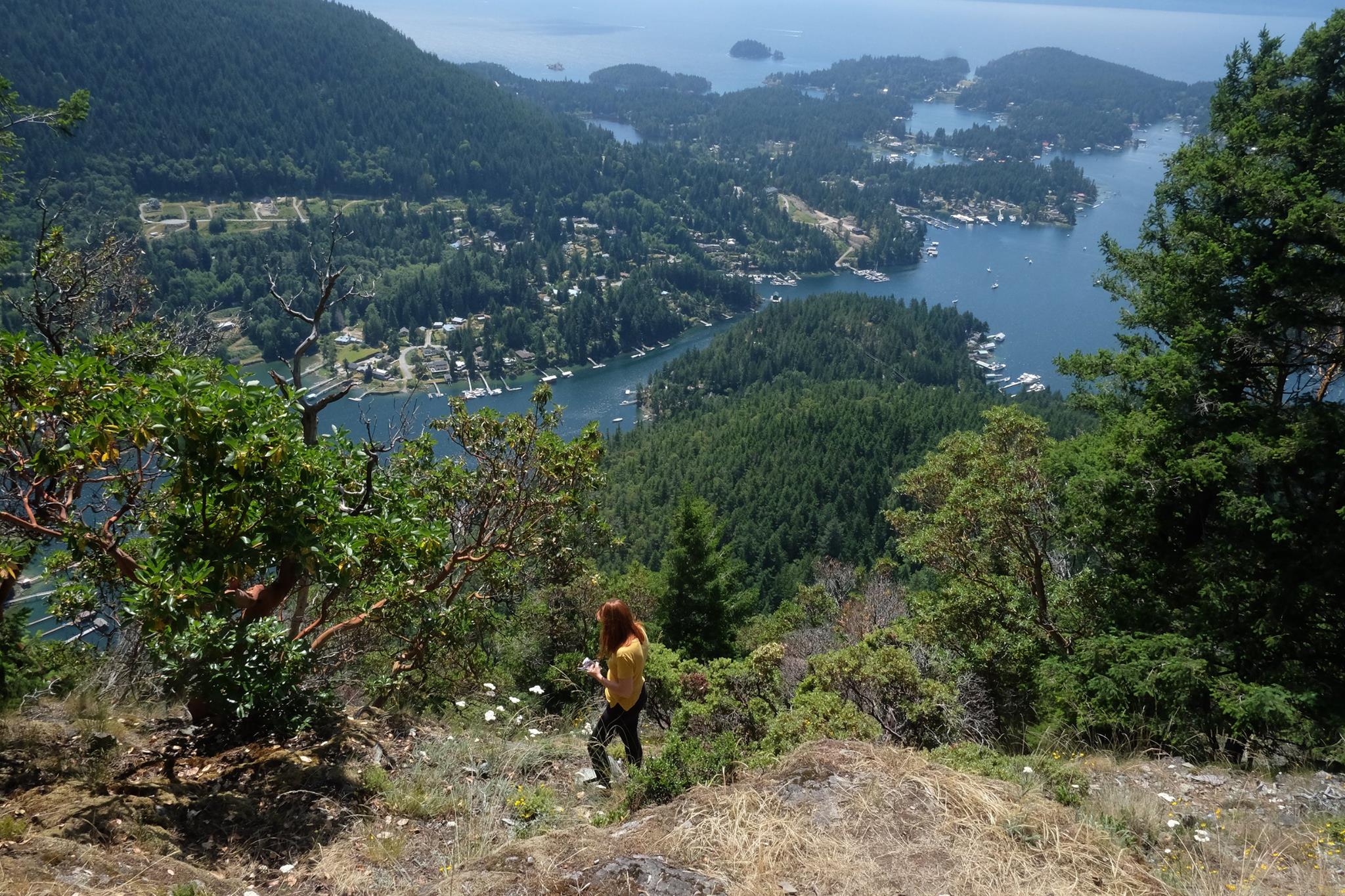 Carla overlooking a forested harbor from a hilltop