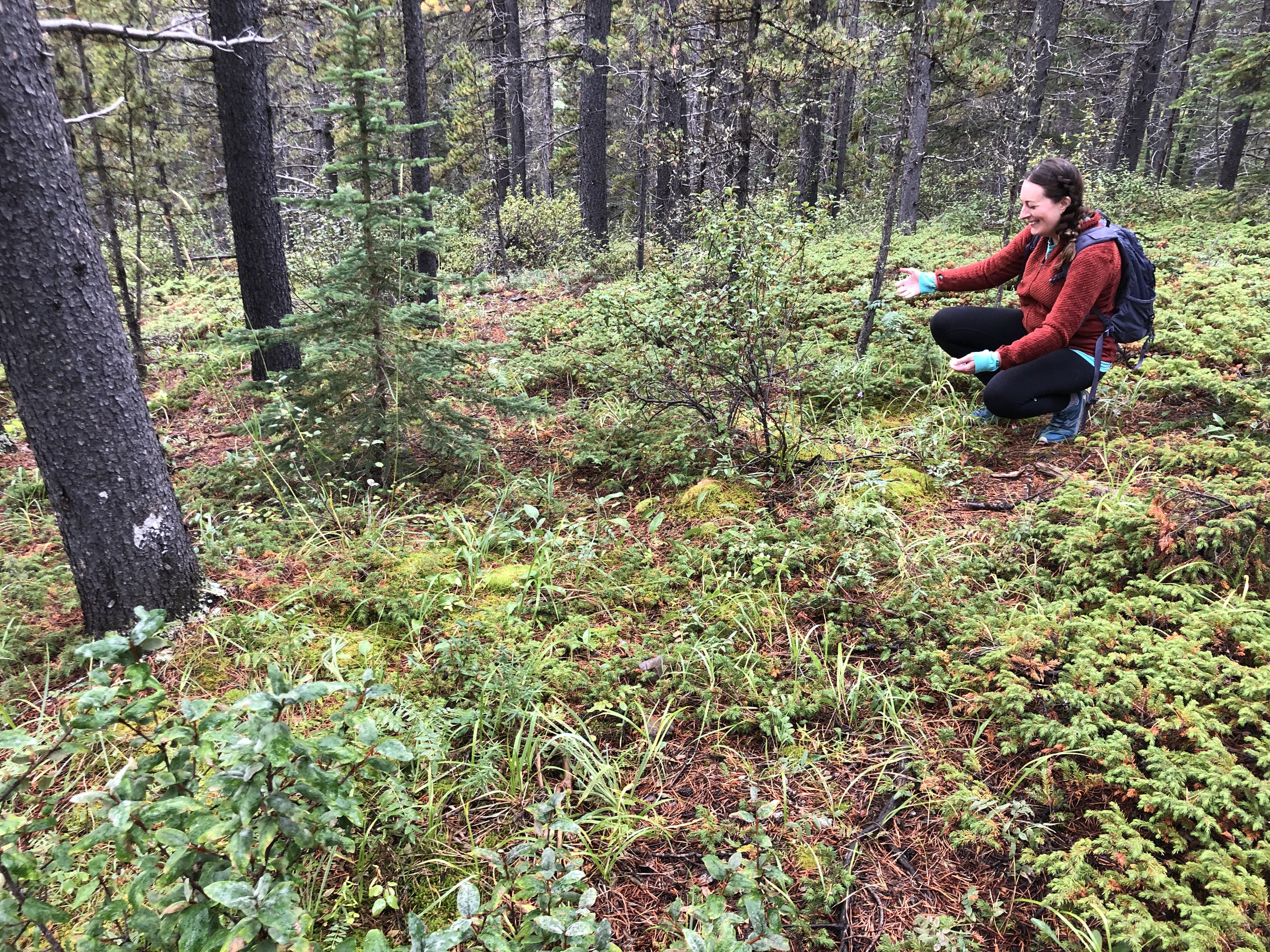 Carla examining plants on a mossy forest floor