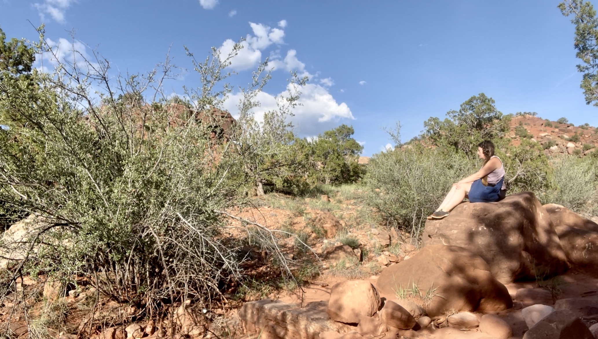 Carla studying desert sagebrush in a red rock landscape